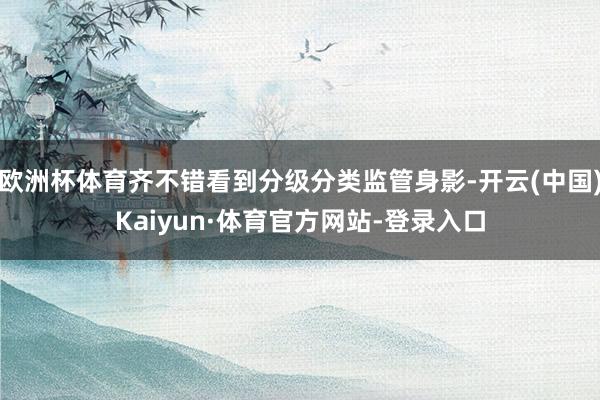 欧洲杯体育齐不错看到分级分类监管身影-开云(中国)Kaiyun·体育官方网站-登录入口