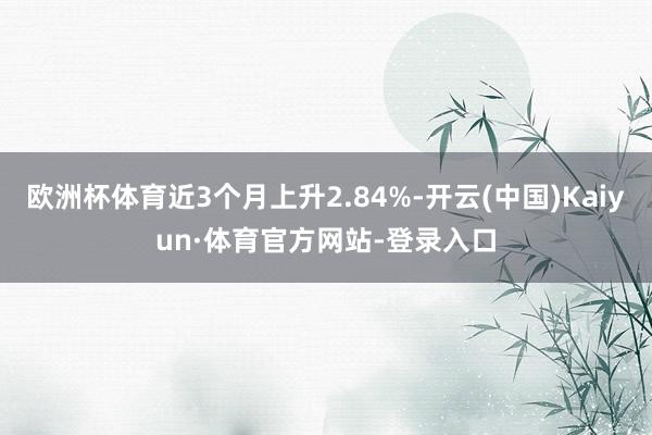 欧洲杯体育近3个月上升2.84%-开云(中国)Kaiyun·体育官方网站-登录入口